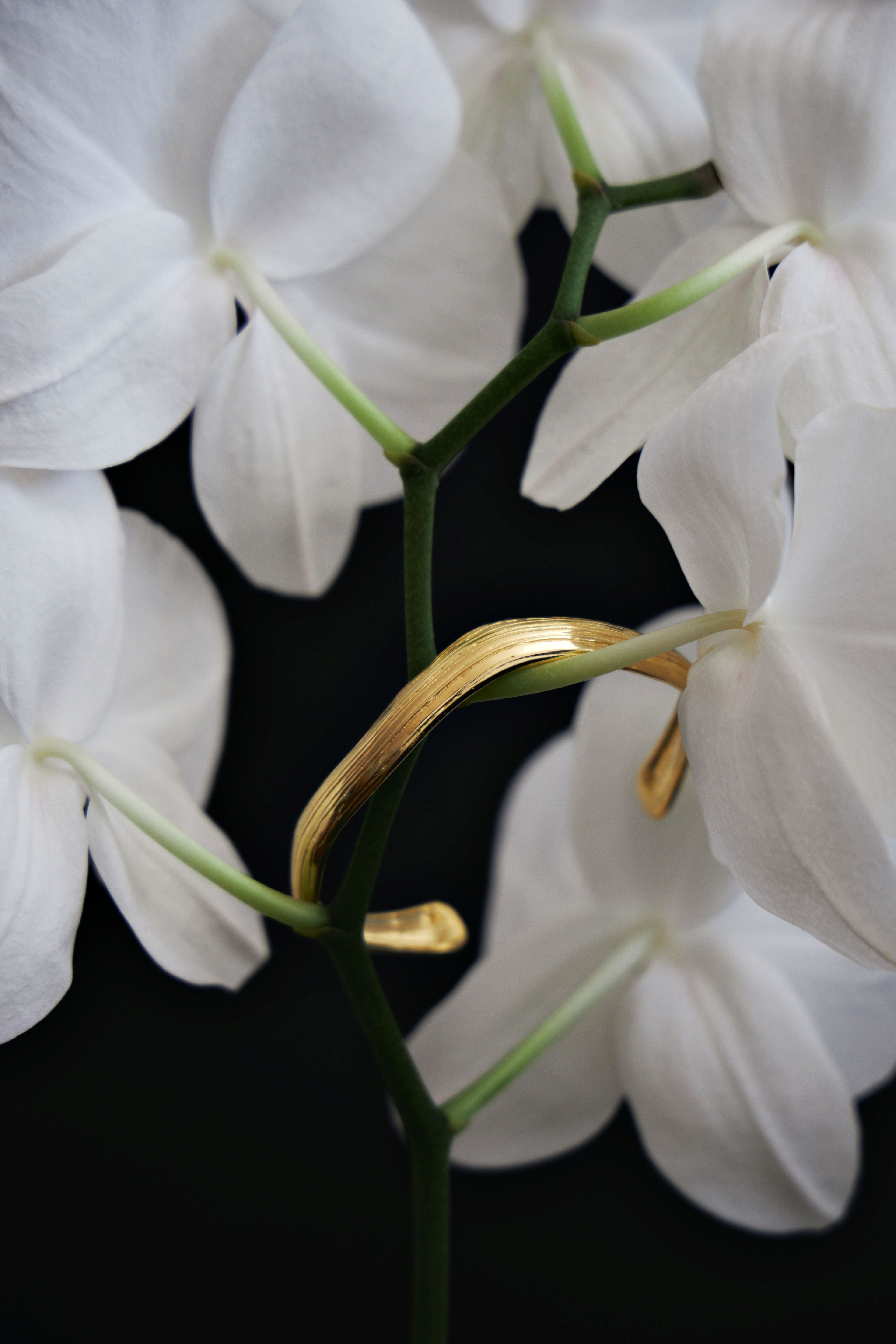 Pulseiras